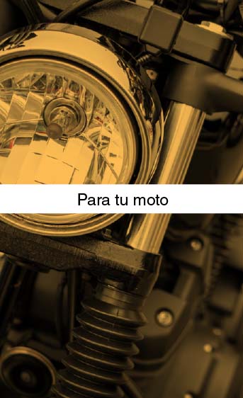 Productos