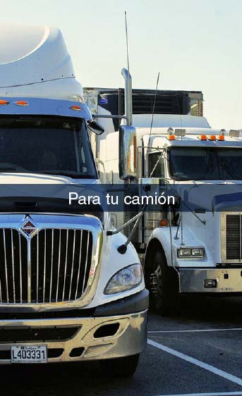 Productos